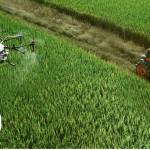 WhatsApp Image 2025-03-06 at 8.25.16 PM