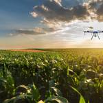 WhatsApp Image 2025-03-06 at 8.25.53 PM