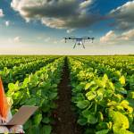 WhatsApp Image 2025-03-06 at 8.26.53 PM