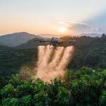 WhatsApp Image 2025-03-06 at 8.28.25 PM