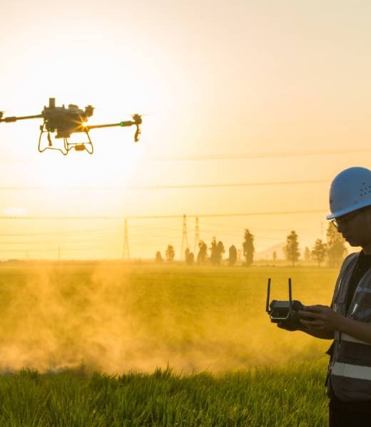 WhatsApp Image 2025-03-06 at 8.25.13 PM