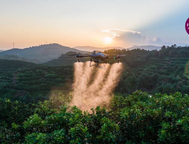 WhatsApp Image 2025-03-06 at 8.28.25 PM